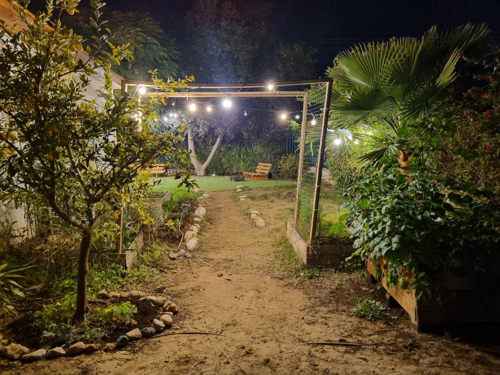קהילות והבית ביערה